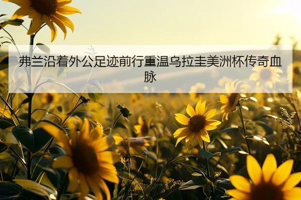 弗兰沿着外公足迹前行重温乌拉圭美洲杯传奇血脉